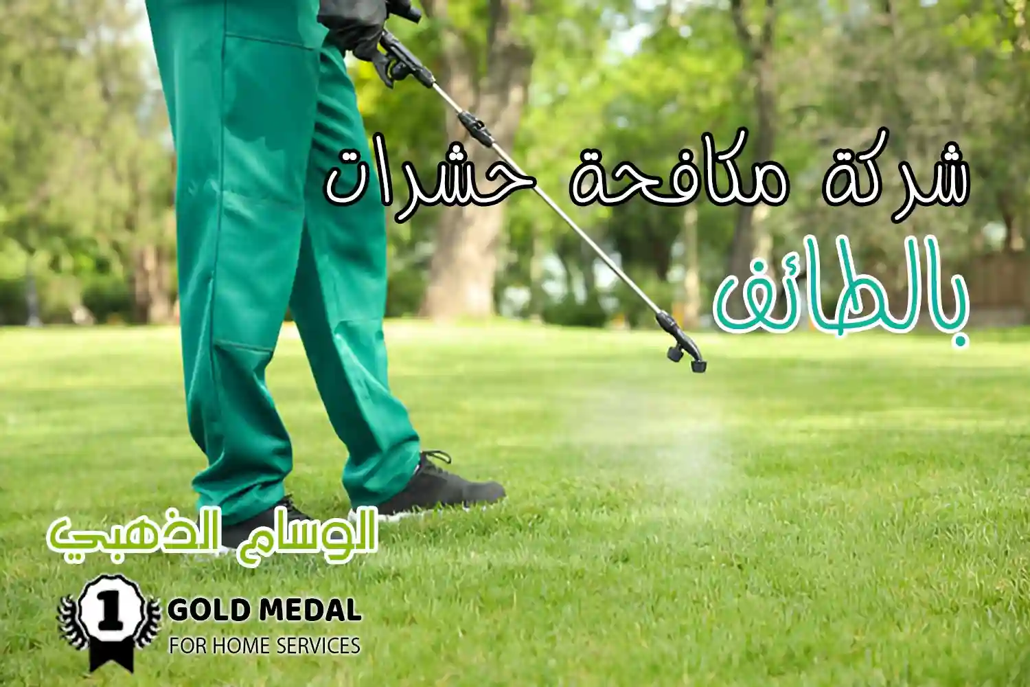 شركة مكافحة حشرات بالطائف